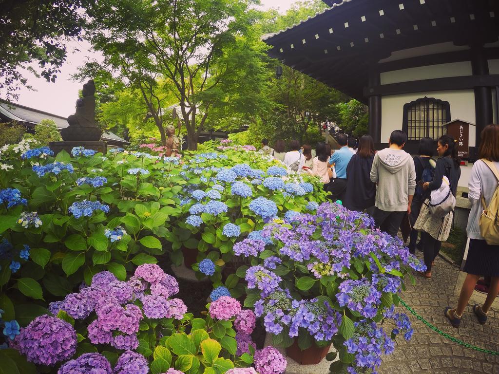 Iza Kamakura Guest House And Bar Dış mekan fotoğraf